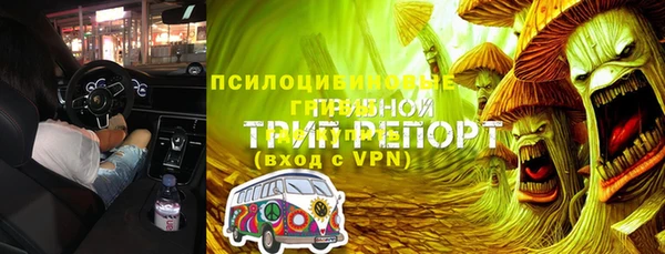 тгк Медногорск