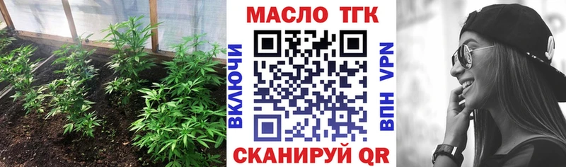 закладка  Весьегонск  ТГК концентрат 
